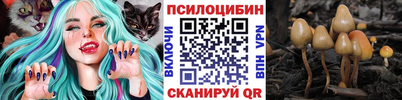 Галлюциногенные грибы Psilocybe  как найти наркотики  Омск 