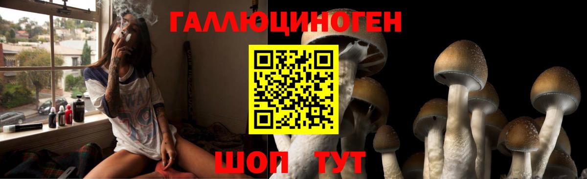 Псилоцибиновые грибы прущие грибы  Вход с VPN  Омск 